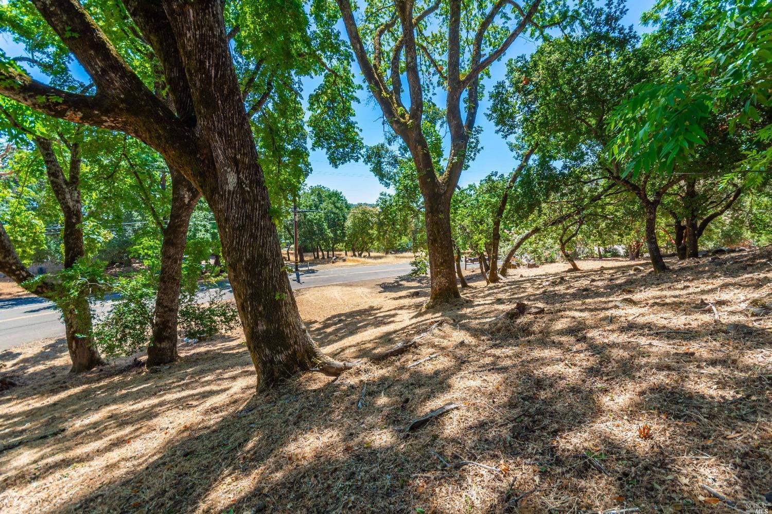 Photo of Country Club Ln #263 in Napa, CA