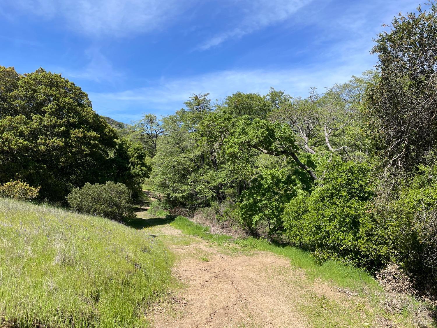 Photo of Green Valley Ln #Lot 6 in Green Valley, CA