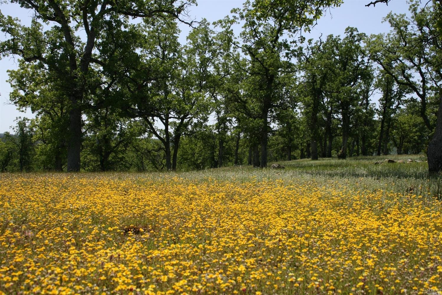 Photo of 0 Xx in Red Bluff, CA