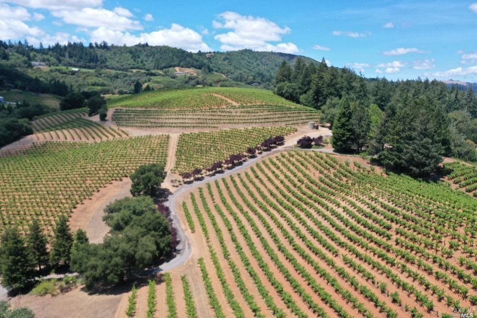 6343 W Dry Creek Road