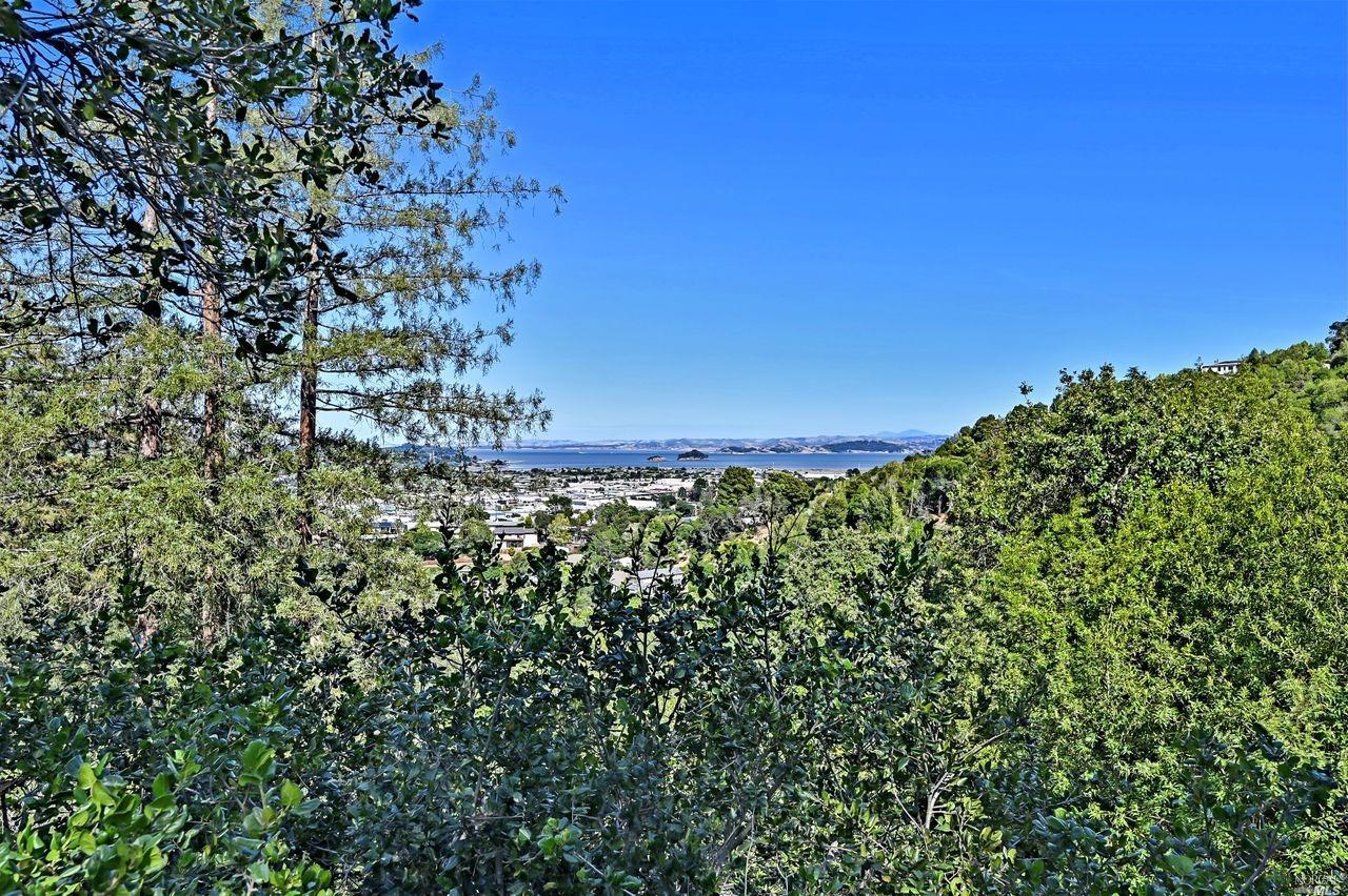 Detail Gallery Image 1 of 1 For 92 Southern Heights Blvd, San Rafael,  CA 94901 - 3 Beds | 2 Baths