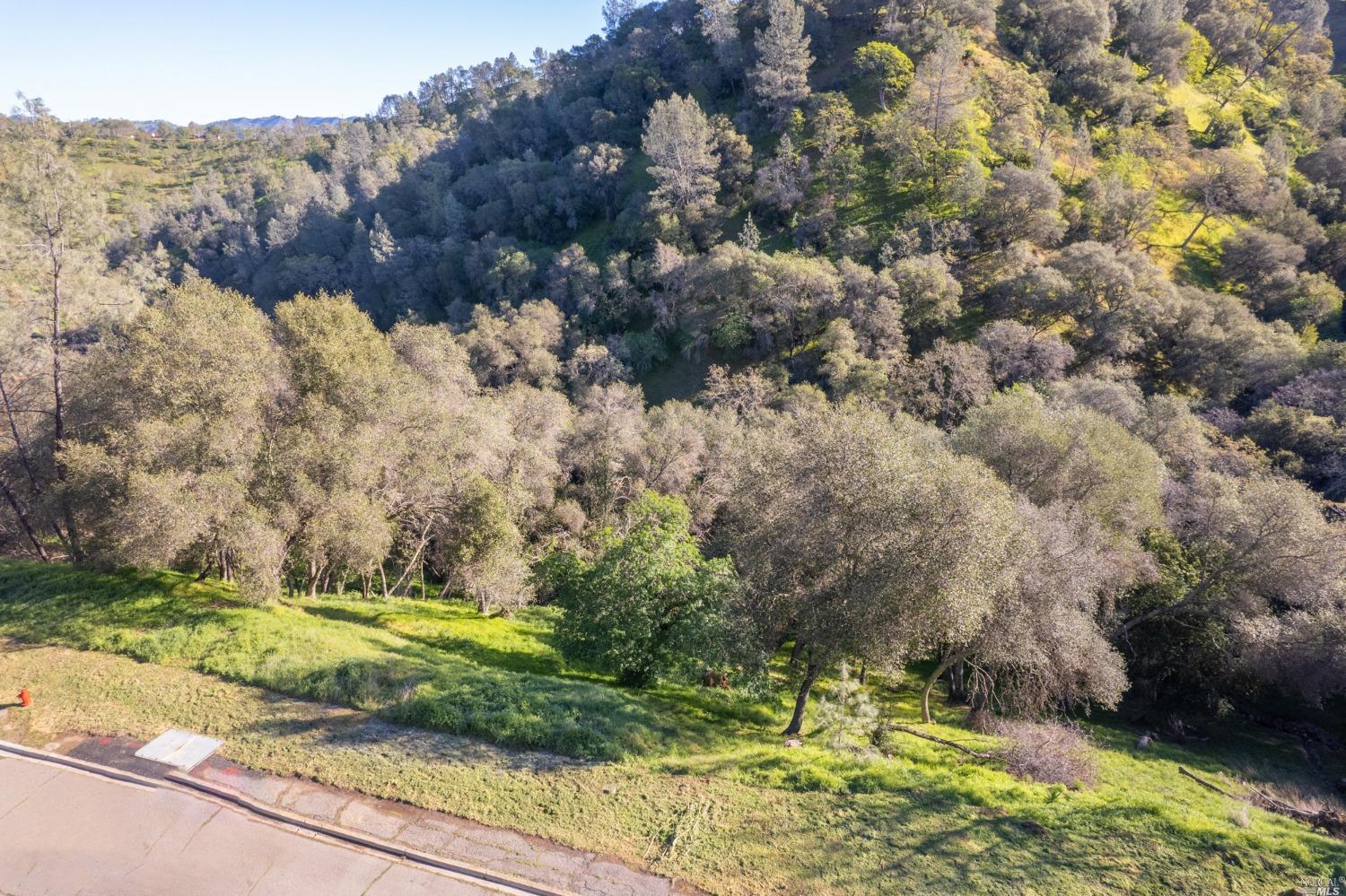 Photo of 1121 Steele Canyon Rd in Napa, CA