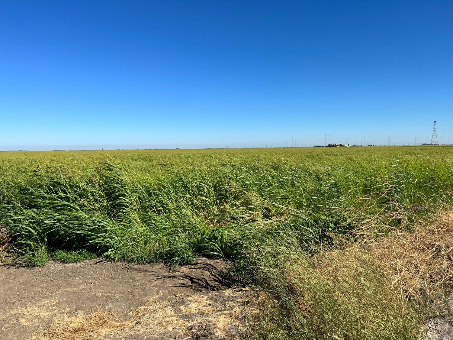 Radio Station Road, Dixon, California image 11