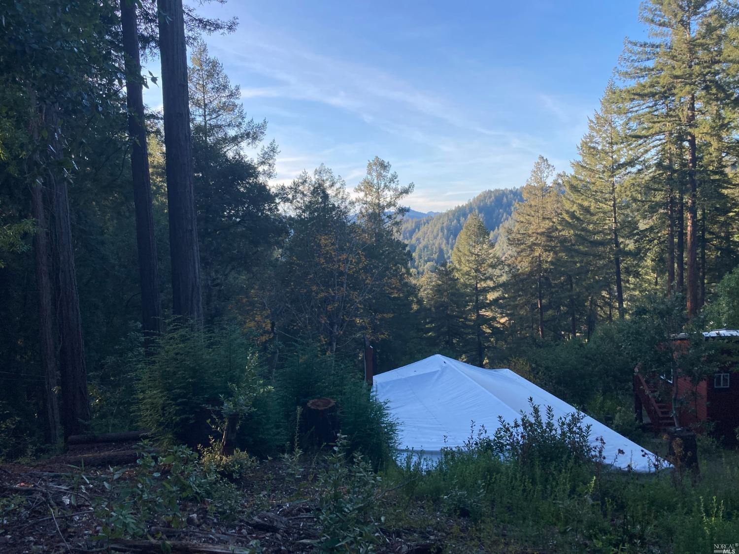 Photo of 11494 Terrace Dr in Forestville, CA