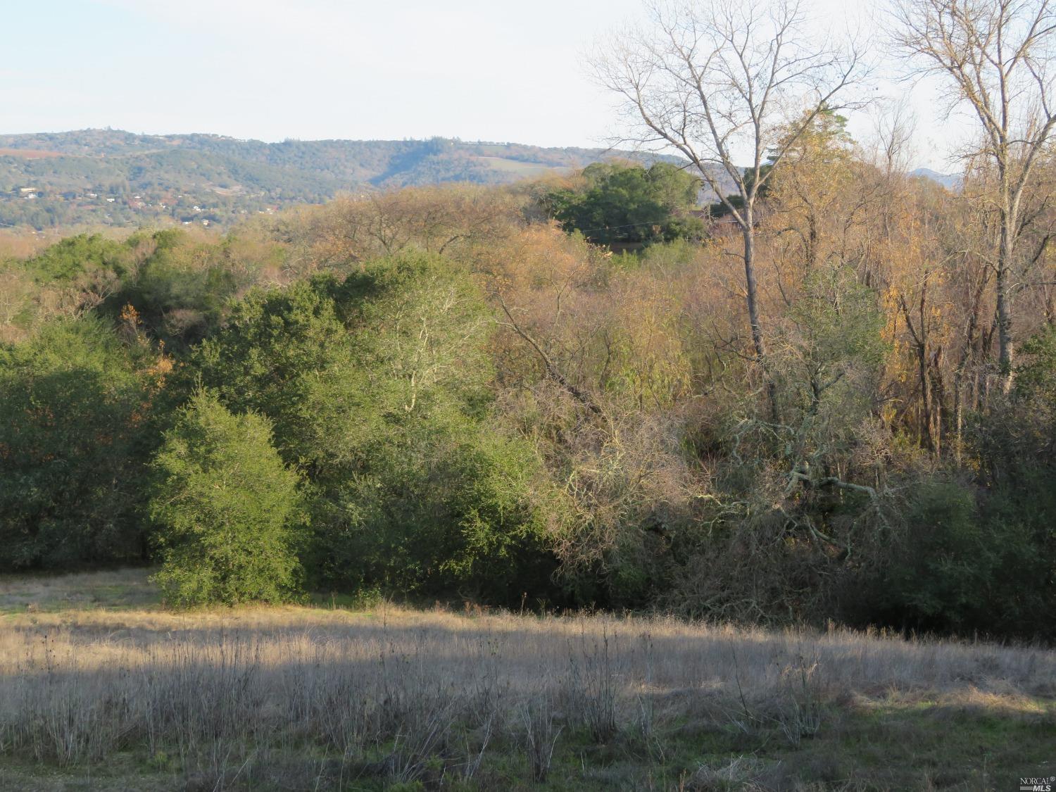 Photo of 0 Arnold Dr in Sonoma, CA