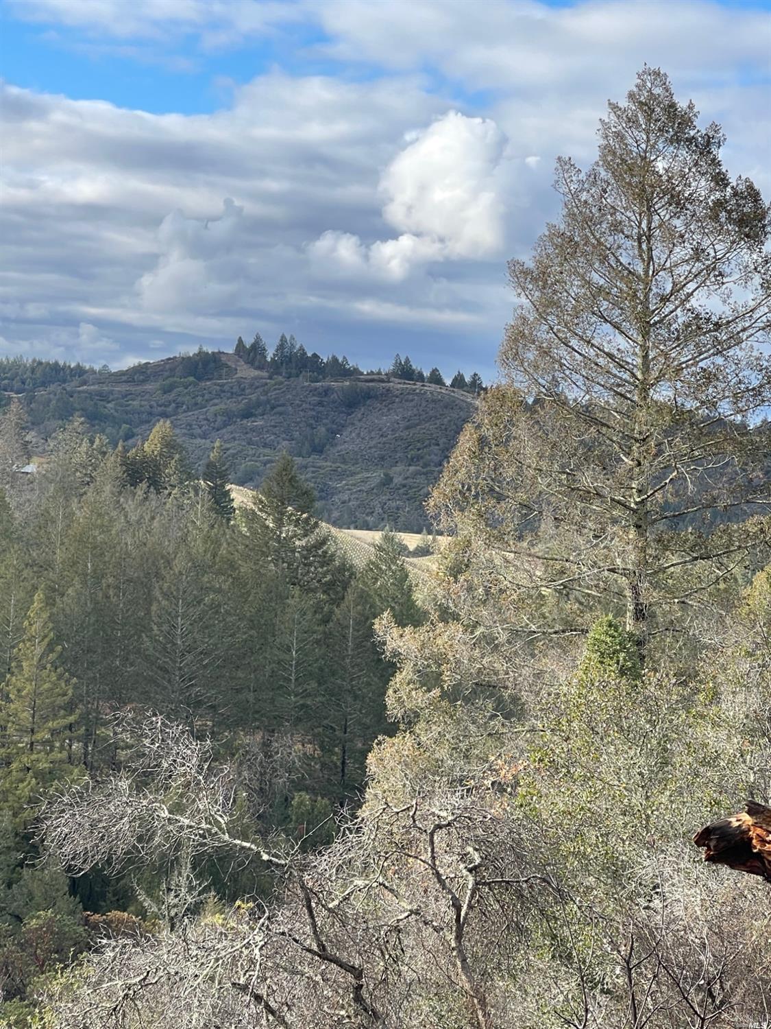 Photo of 0 Diamond Mountain Rd in Calistoga, CA