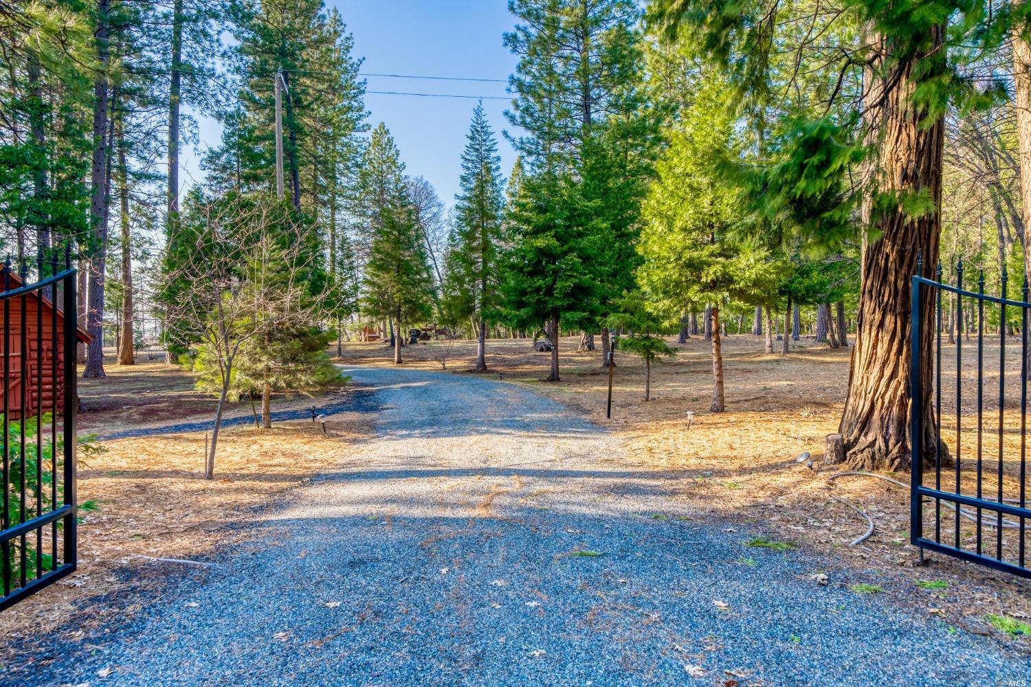 Detail Gallery Image 1 of 1 For 8166 Doodlebug Ln, Shingletown,  CA 96088 - 3 Beds | 2 Baths