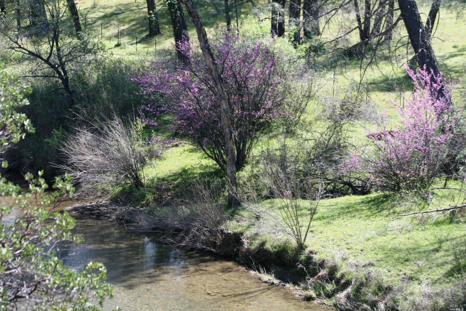 Photo of 0 Xxx in Red Bluff, CA