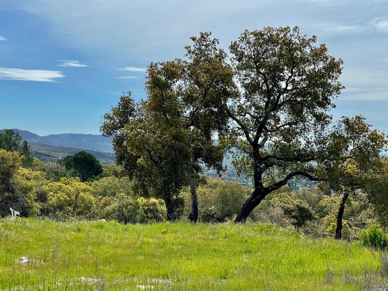 Detail Gallery Image 4 of 11 For 2375 Atlas Peak Rd, Napa,  CA 94558 - – Beds | – Baths