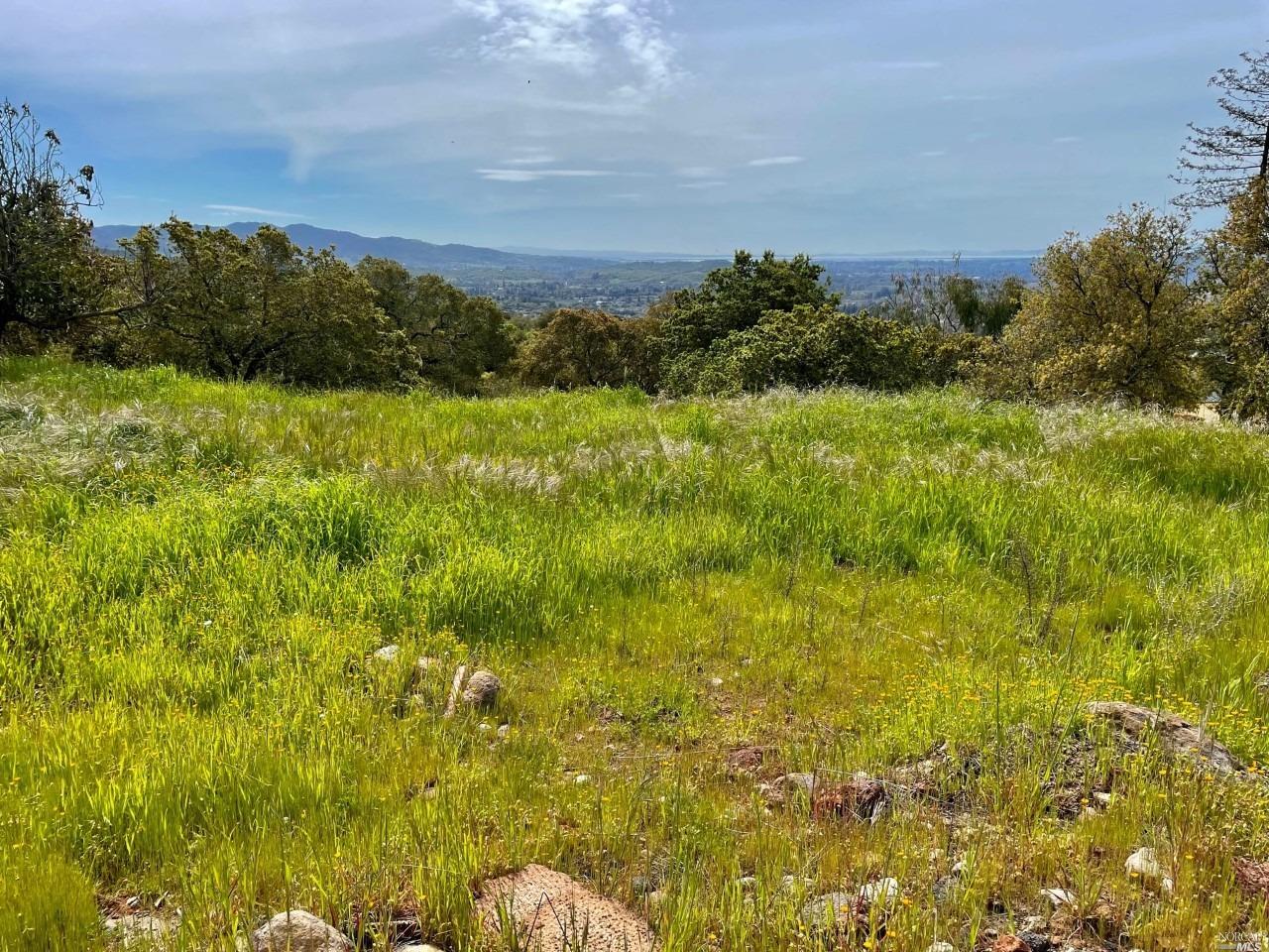 Detail Gallery Image 5 of 11 For 2375 Atlas Peak Rd, Napa,  CA 94558 - – Beds | – Baths