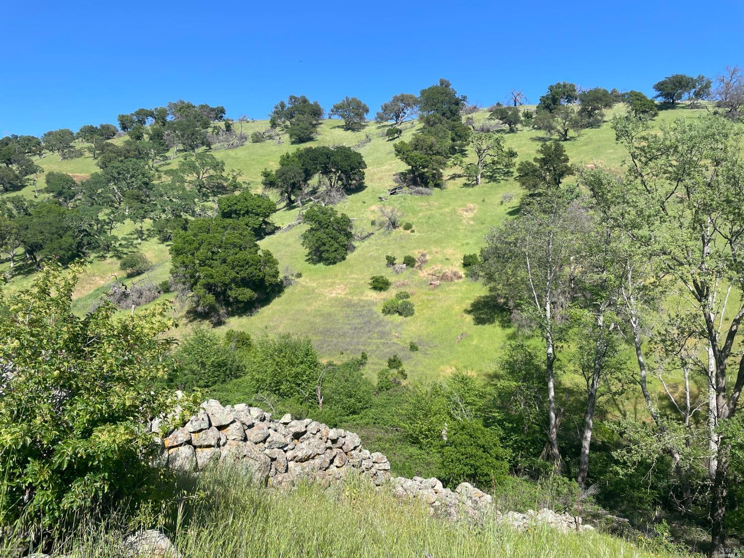 Photo of 0 Green Valley Ln in Green Valley, CA