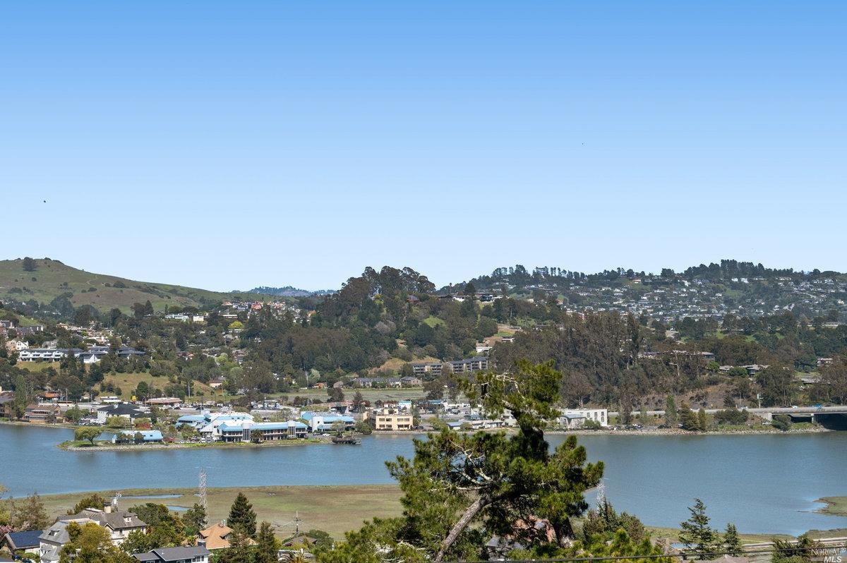 234 Cleveland Avenue, Mill Valley, CA 94941