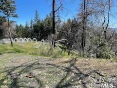 Detail Gallery Image 14 of 19 For 13945 Old Boy Scout Rd, Willits,  CA 95490 - – Beds | – Baths
