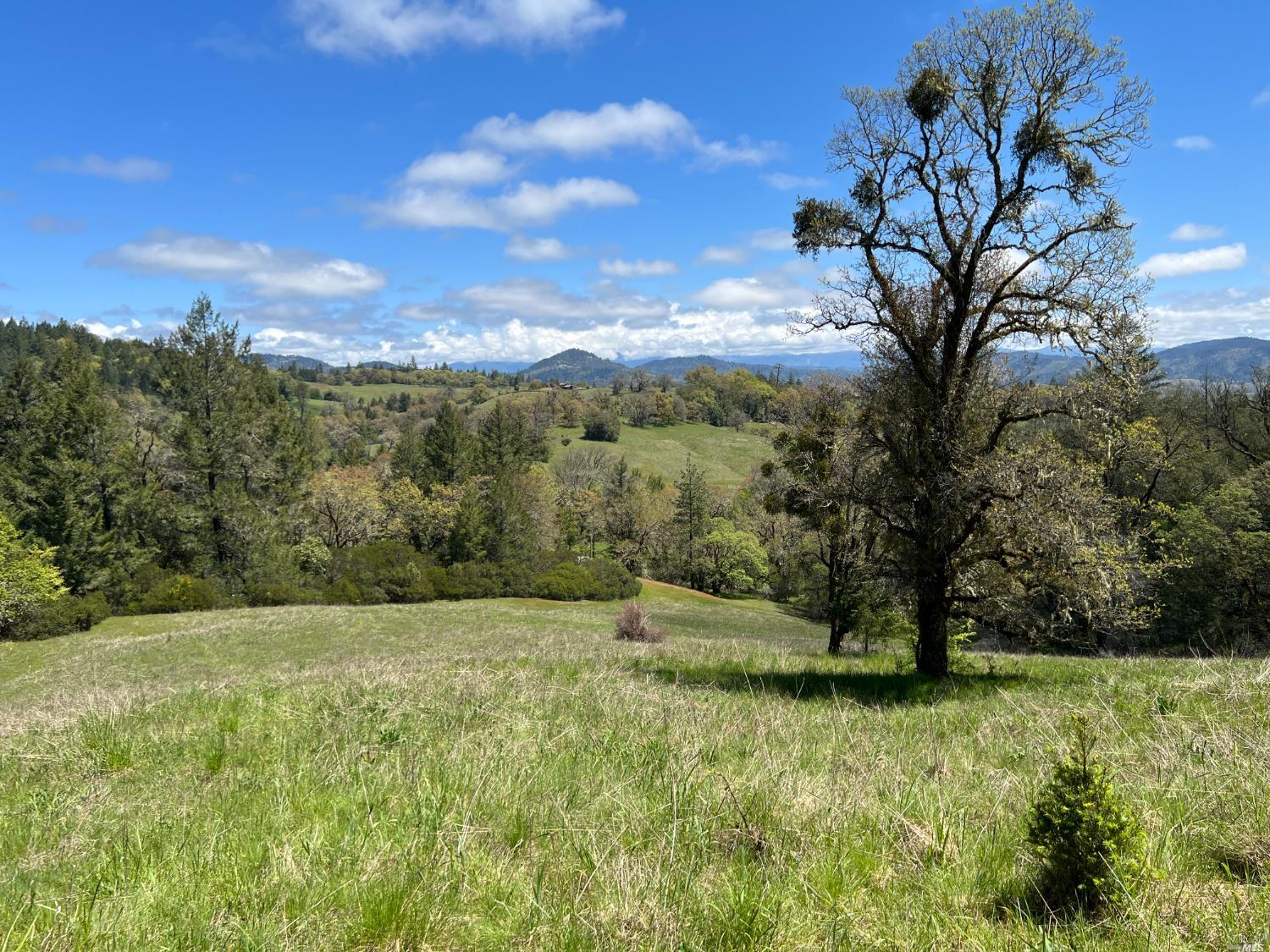 1101 Exley Lane, Willits, CA 95490