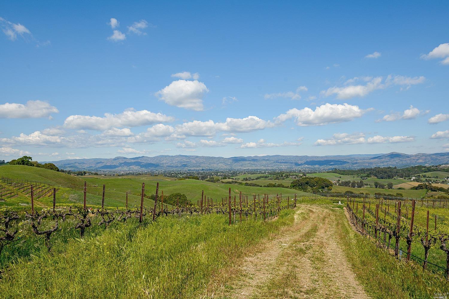 Detail Gallery Image 20 of 24 For 1444 Henry Rd, Napa,  CA 94559 - 5 Beds | 5 Baths