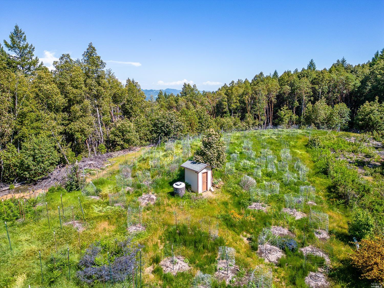 Detail Gallery Image 15 of 16 For 28175 Skyview Rd, Willits,  CA 95490 - 3 Beds | 3/1 Baths