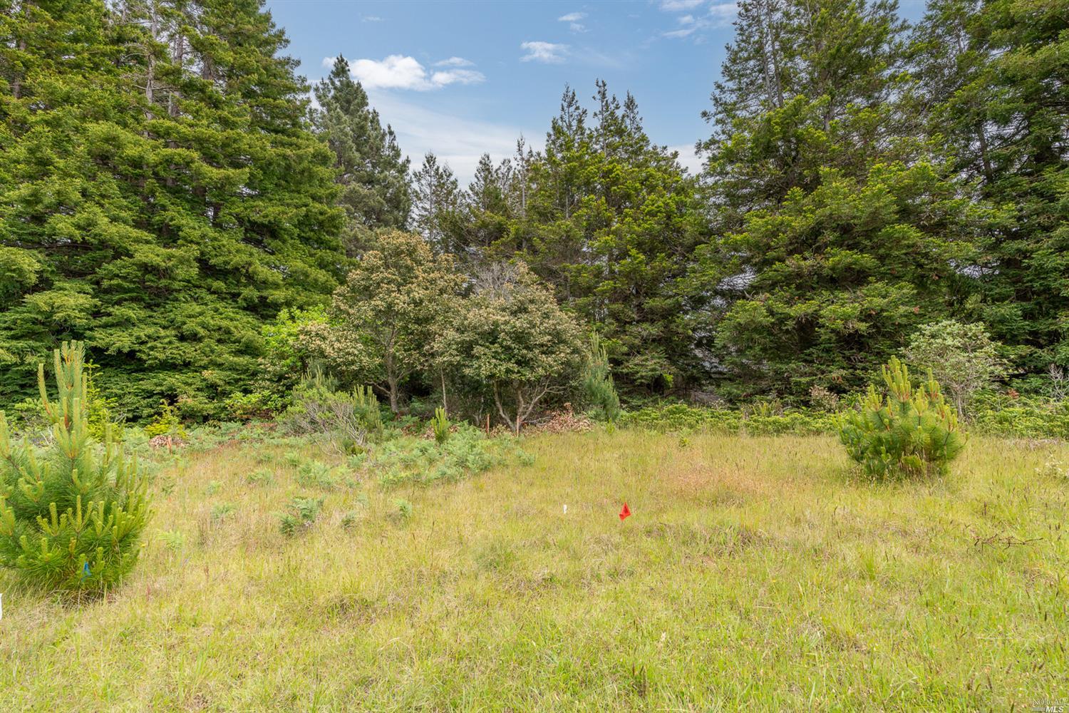 41478 Deer Trail, The Sea Ranch, CA 95497
