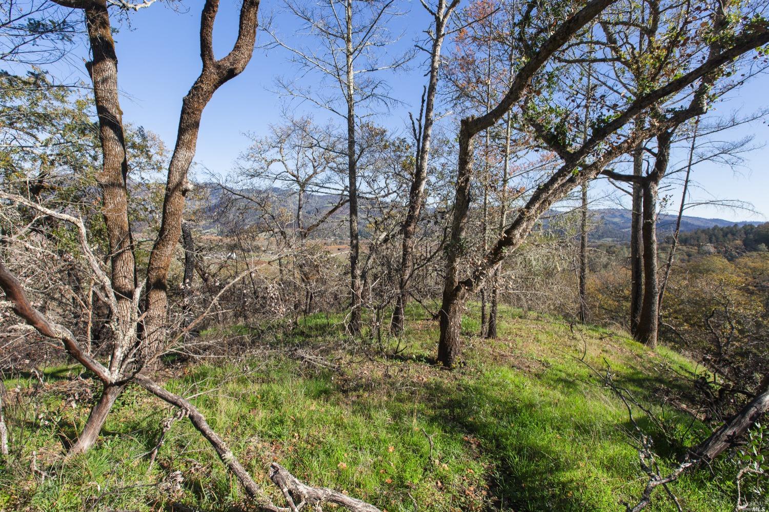 Photo of 0 Tucker Rd in Calistoga, CA