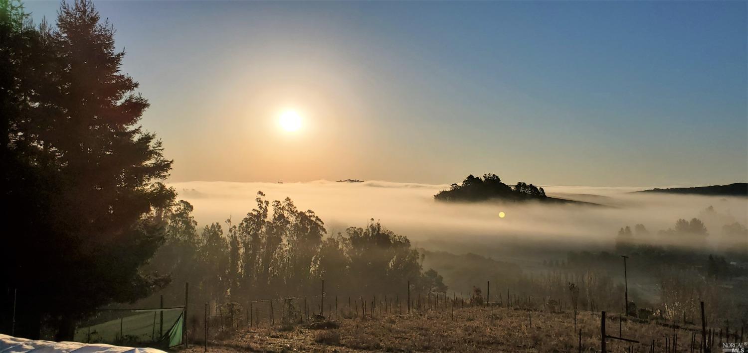Photo of 2633 Blucher Valley Rd in Sebastopol, CA
