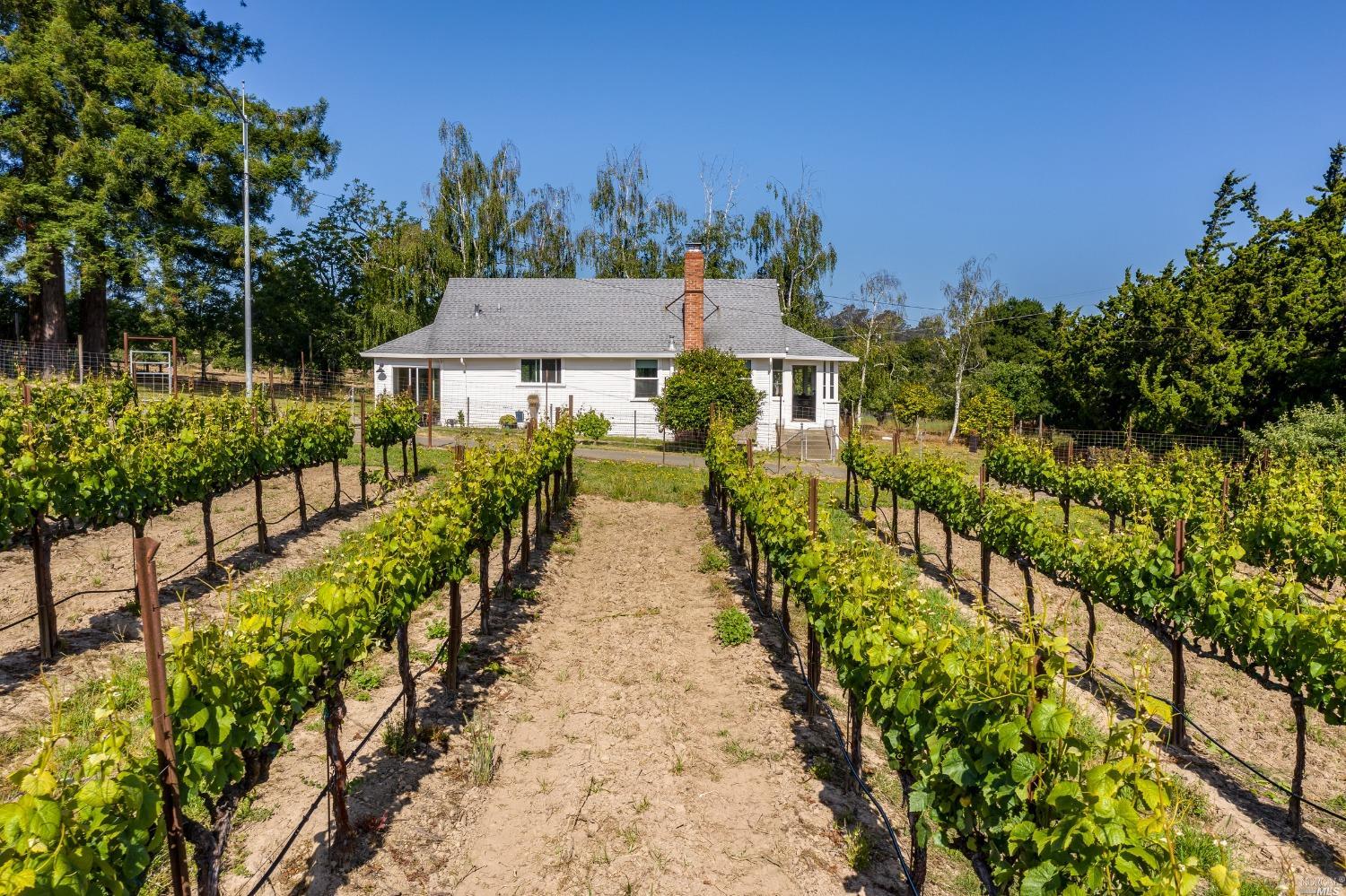 Photo of 7809 Kennedy Rd in Sebastopol, CA