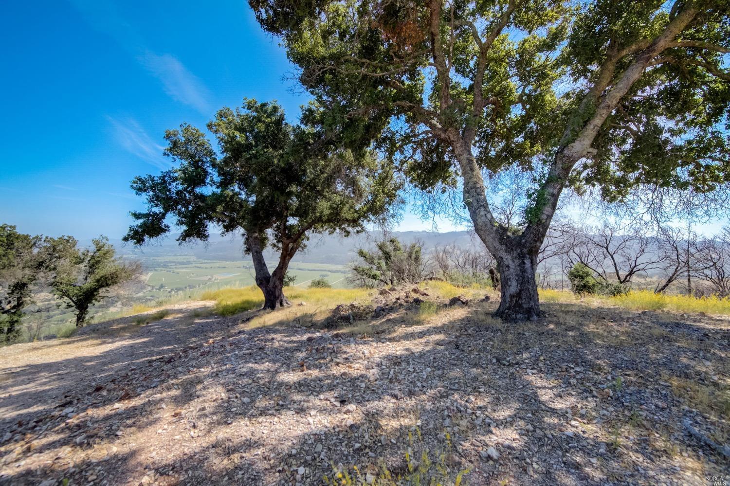 Detail Gallery Image 13 of 62 For 370 Dutch Henry Canyon Rd, Calistoga,  CA 94515 - – Beds | – Baths