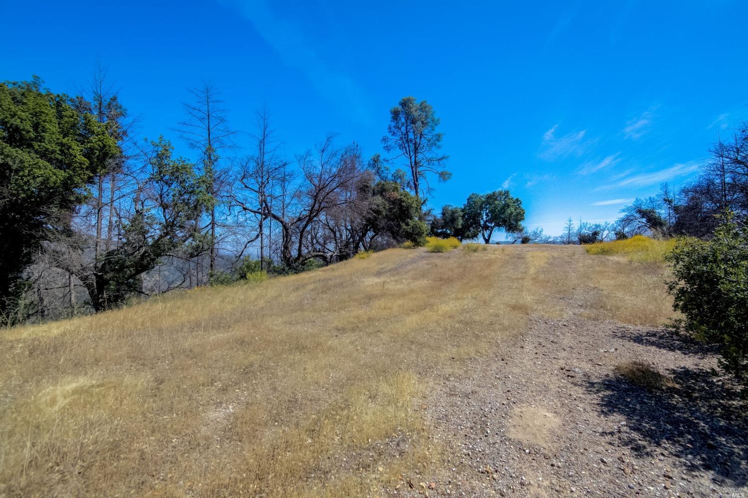 Detail Gallery Image 49 of 62 For 370 Dutch Henry Canyon Rd, Calistoga,  CA 94515 - – Beds | – Baths