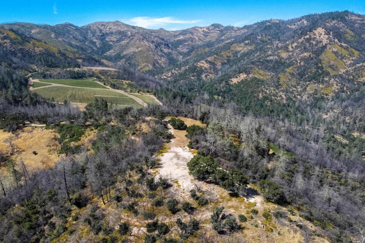 Detail Gallery Image 3 of 62 For 370 Dutch Henry Canyon Rd, Calistoga,  CA 94515 - – Beds | – Baths