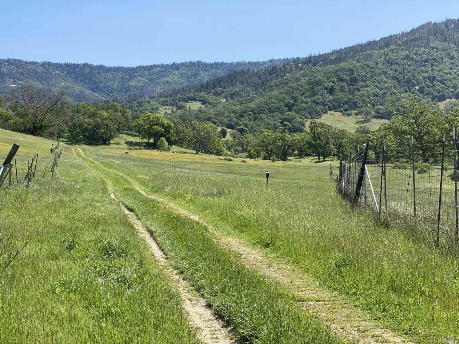 Pine Avenue, Potter Valley, California image 5