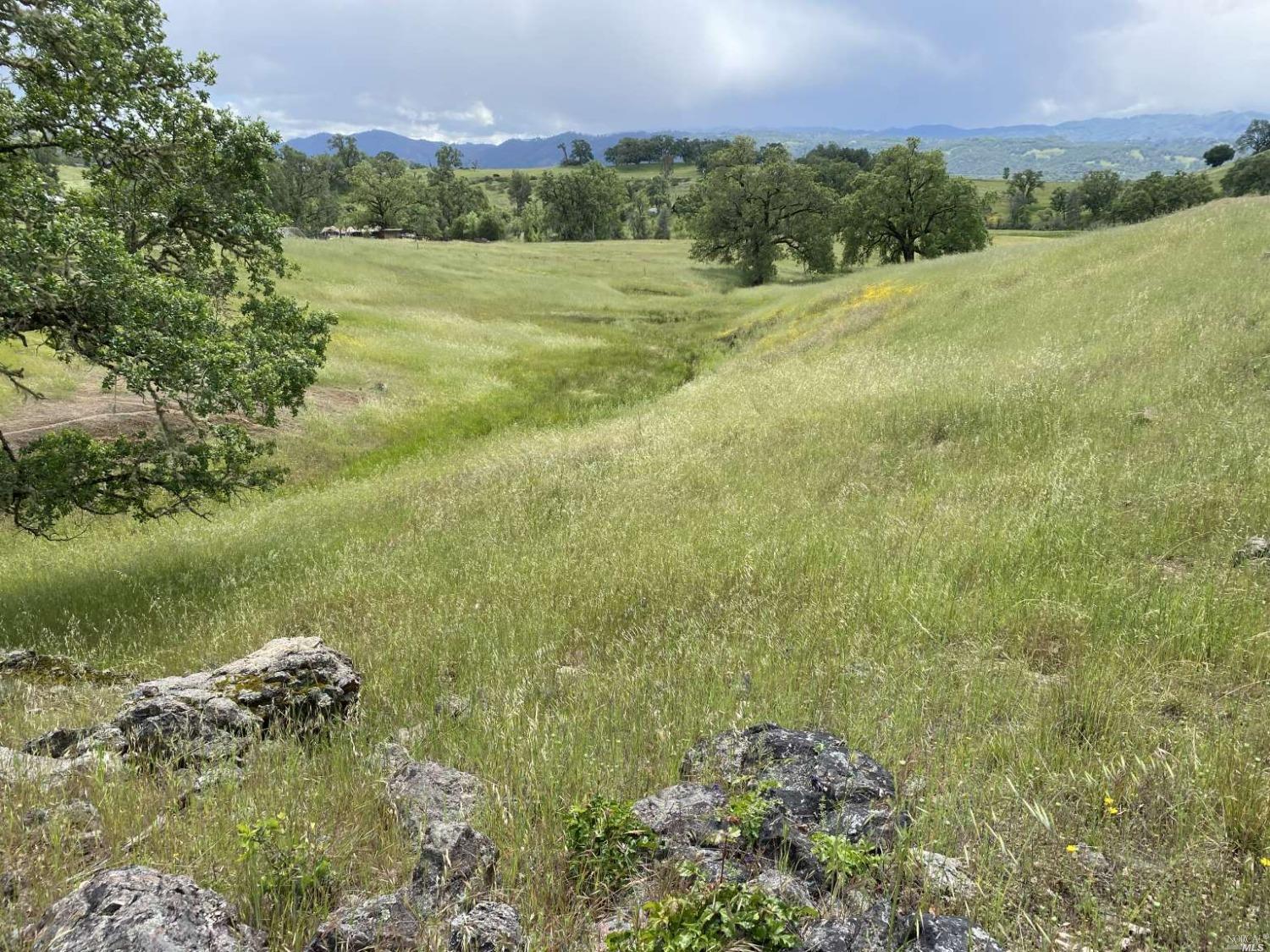 Pine Avenue, Potter Valley, California image 6