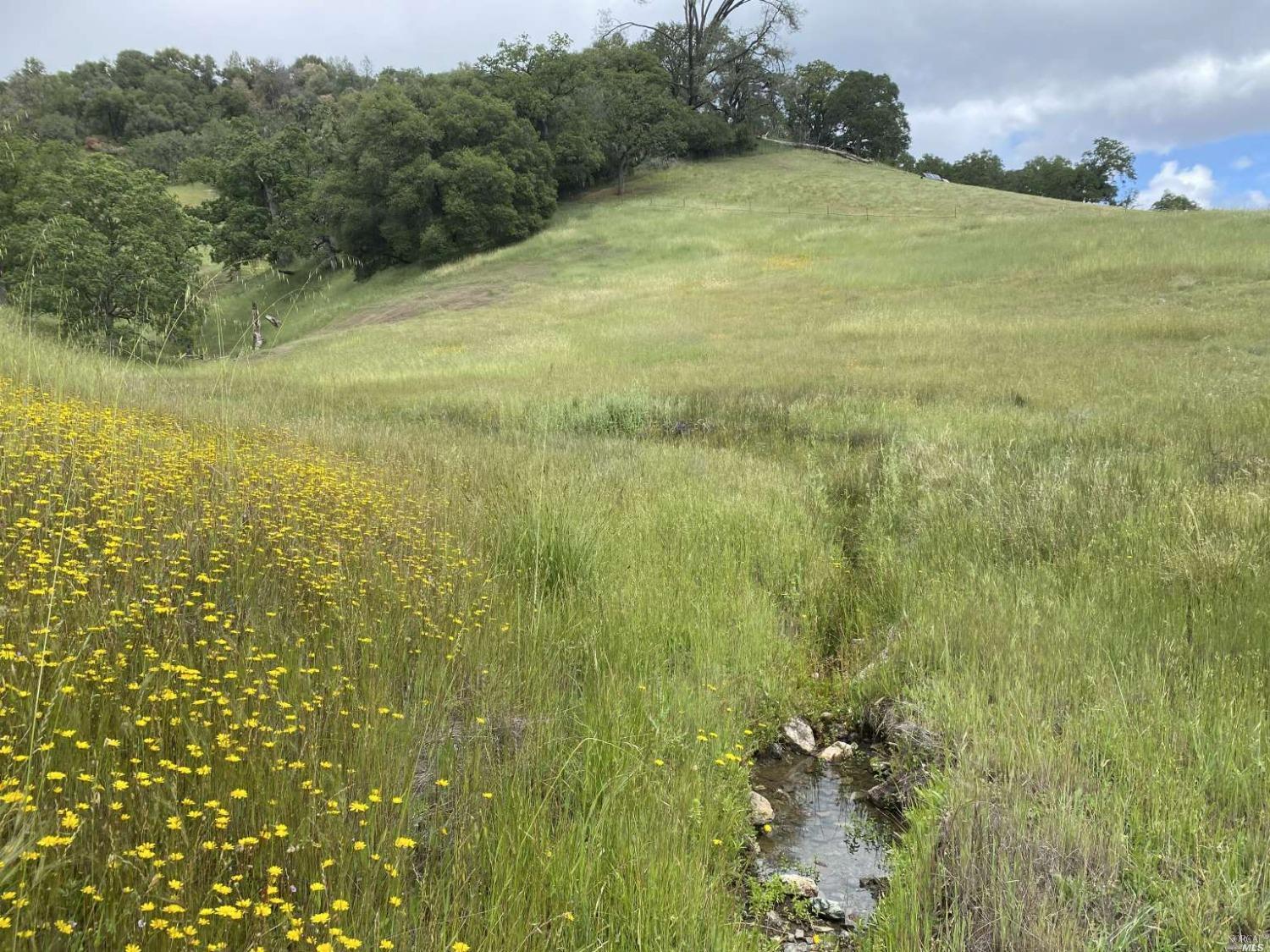 Pine Avenue, Potter Valley, California image 4