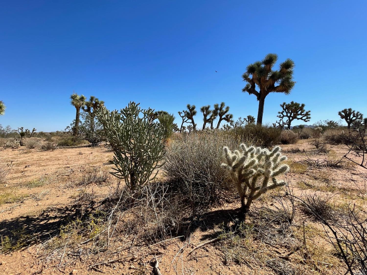 Photo of 0 Pajara Dr in Yucca Valley, CA