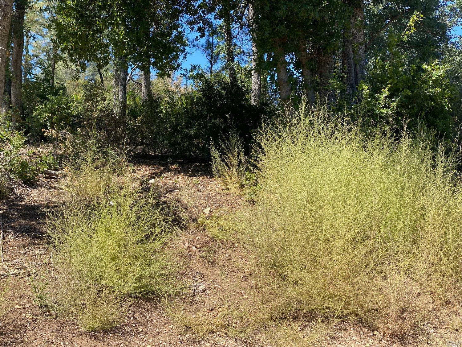 Photo of 15334 Stanyon St in Clearlake, CA