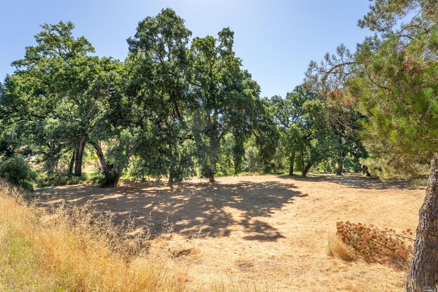 Detail Gallery Image 6 of 19 For 0 Capell Valley Cross Rd, Napa,  CA 94558 - – Beds | – Baths