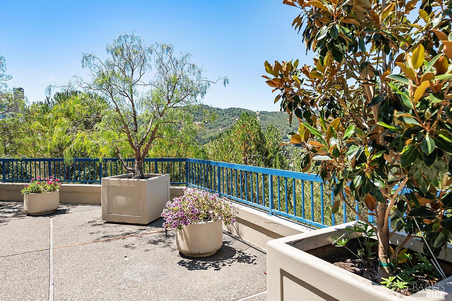 Detail Gallery Image 24 of 28 For 100 Thorndale Dr #338,  San Rafael,  CA 94903 - 1 Beds | 1 Baths