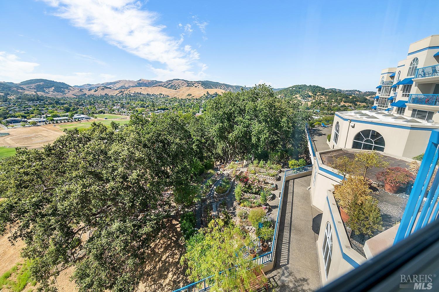 Detail Gallery Image 9 of 28 For 100 Thorndale Dr #338,  San Rafael,  CA 94903 - 1 Beds | 1 Baths