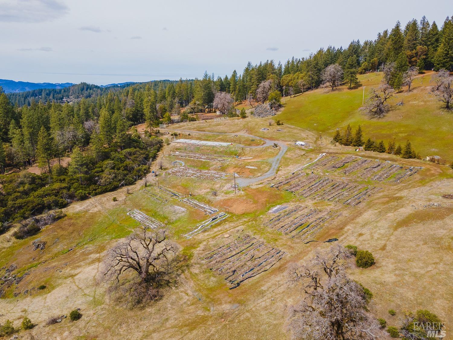 Detail Gallery Image 24 of 50 For 7400 Ridgewood Rd, Willits,  CA 95490 - 2 Beds | 2 Baths