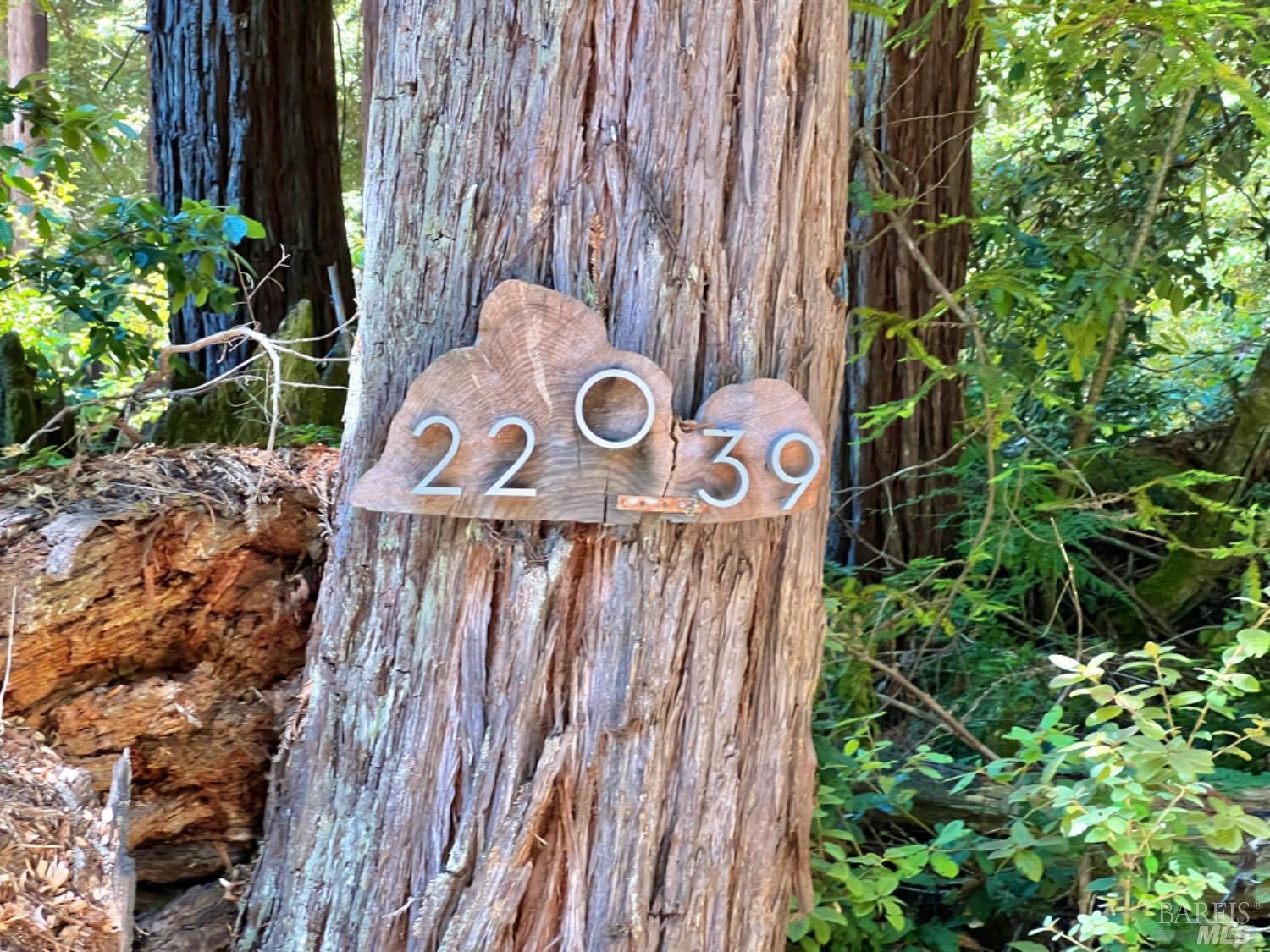Photo of 22039 Timber Cove Rd in Jenner, CA