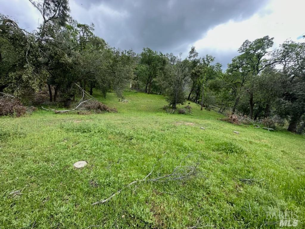 0 Longhorn Ridge Rd, Napa, CA 94558 Beds Baths (Active