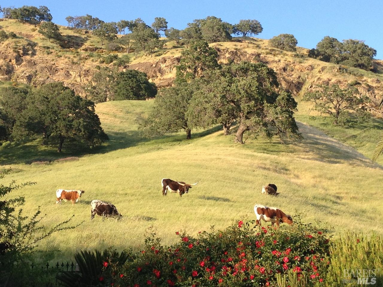 Photo of 3455 Laguna Creek Trl in Vacaville, CA