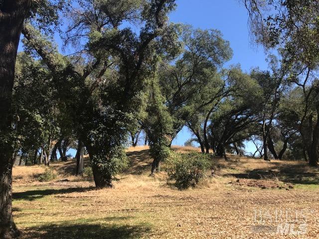 Detail Gallery Image 6 of 6 For 8655 Franz Valley School Rd, Calistoga,  CA 94515 - – Beds | – Baths