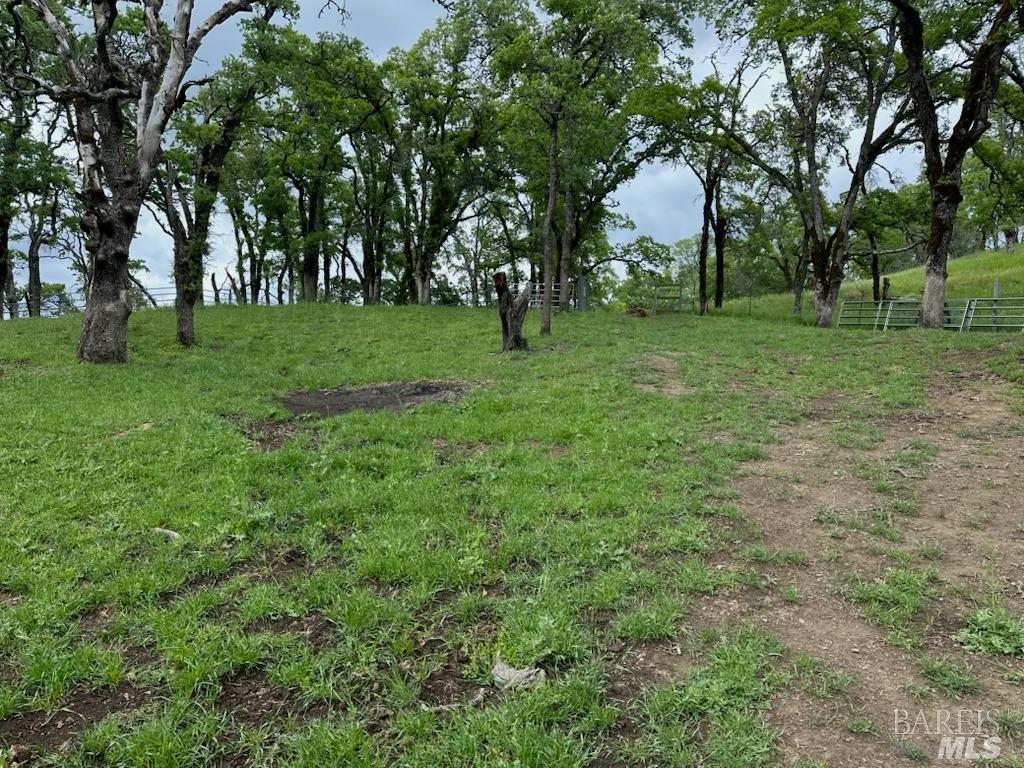 0 Longhorn Ridge Rd, Napa, CA 94558 Beds Baths (Active