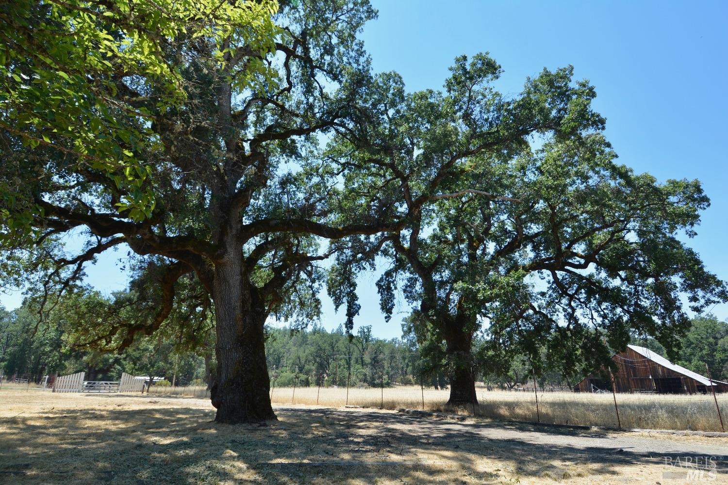 Hill Road, Covelo, California image 46