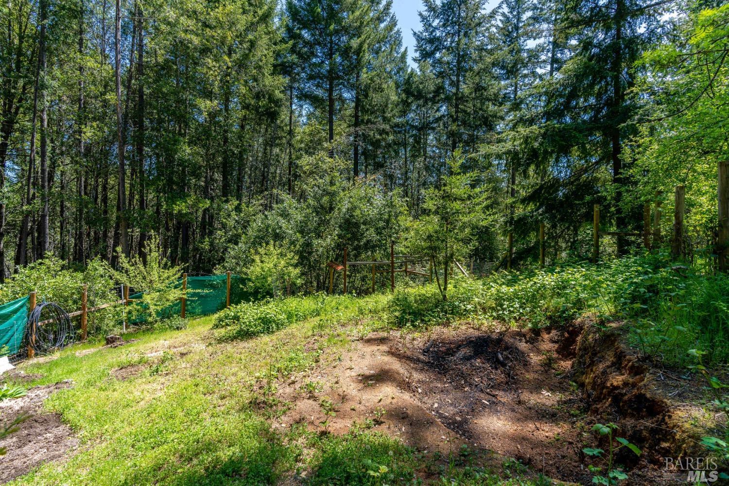 Detail Gallery Image 25 of 31 For 18581 Shafer Ranch Rd, Willits,  CA 95490 - 3 Beds | 2/1 Baths