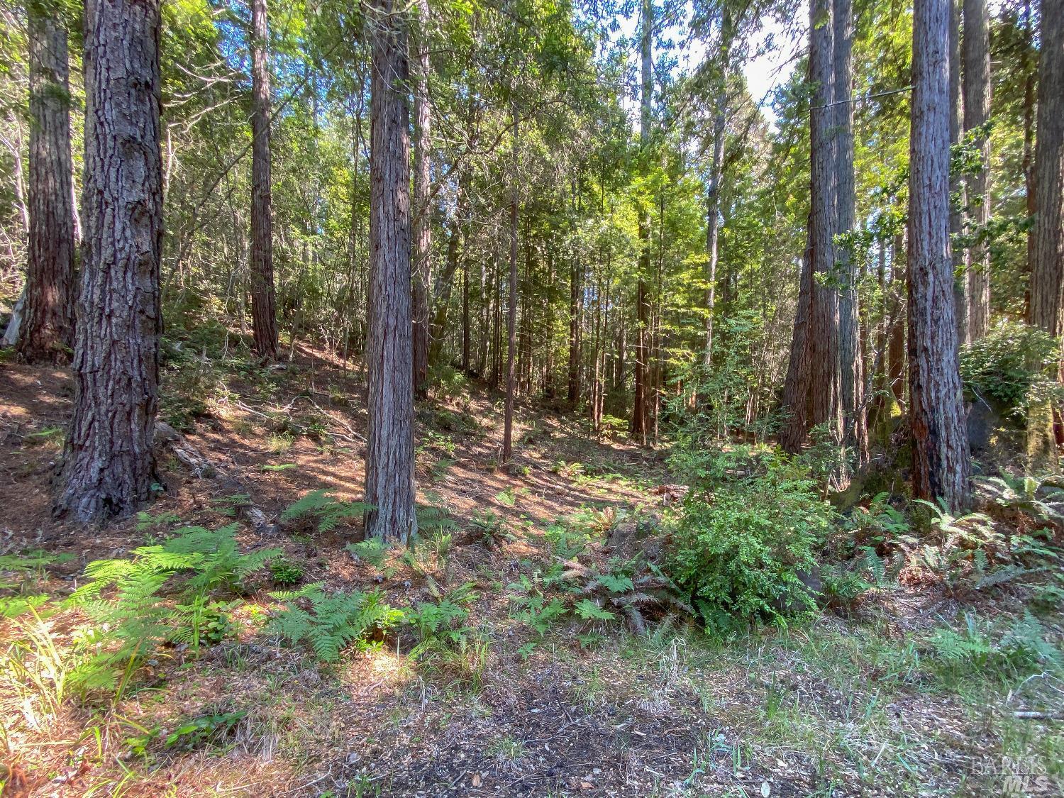 Photo of 35325 Crows Nest Dr in The Sea Ranch, CA