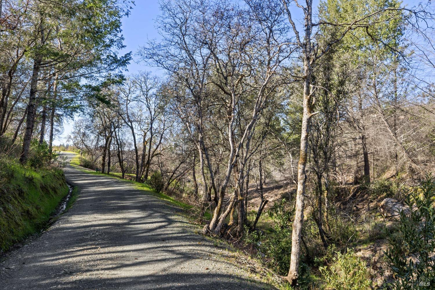 Detail Gallery Image 26 of 38 For 0 Diamond Mountain Rd, Calistoga,  CA 94515 - – Beds | – Baths