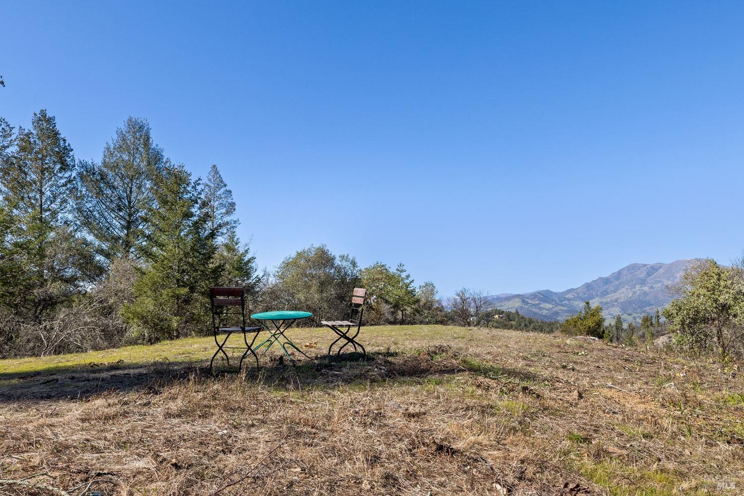 Detail Gallery Image 23 of 38 For 0 Diamond Mountain Rd, Calistoga,  CA 94515 - – Beds | – Baths