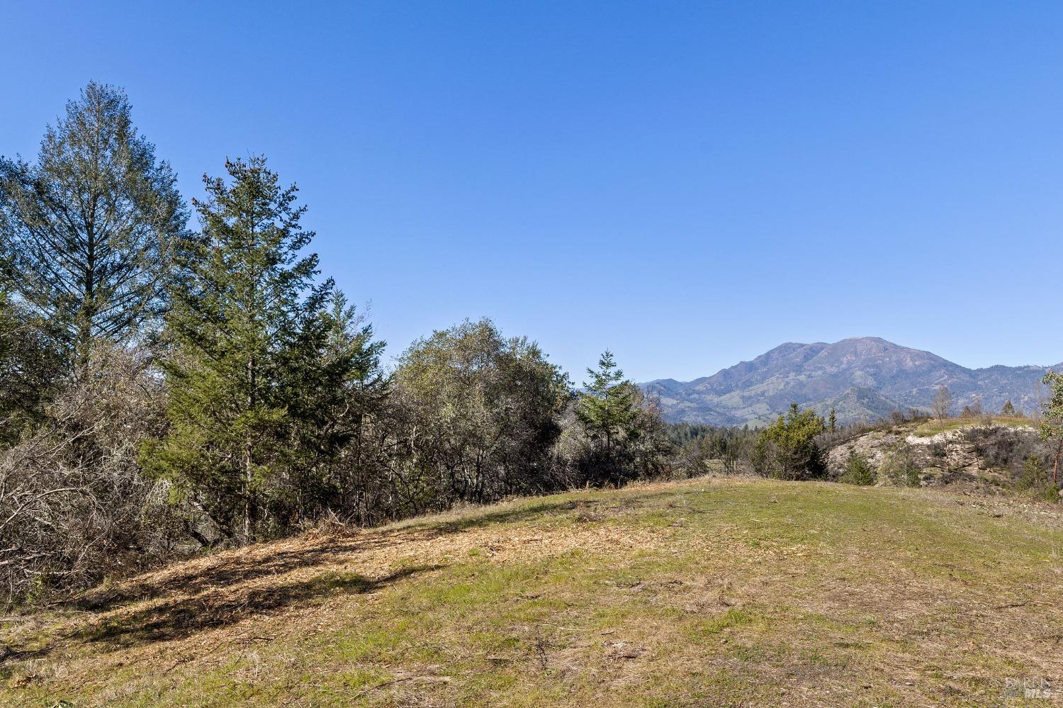 Detail Gallery Image 16 of 38 For 0 Diamond Mountain Rd, Calistoga,  CA 94515 - – Beds | – Baths