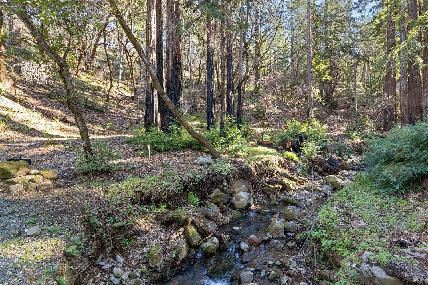 Detail Gallery Image 12 of 38 For 0 Diamond Mountain Rd, Calistoga,  CA 94515 - – Beds | – Baths