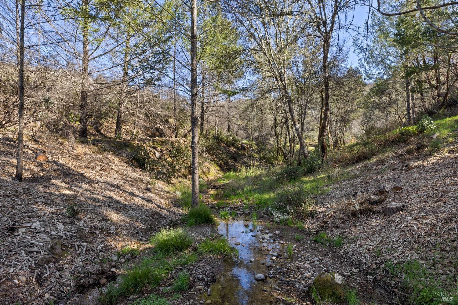 Detail Gallery Image 27 of 38 For 0 Diamond Mountain Rd, Calistoga,  CA 94515 - – Beds | – Baths