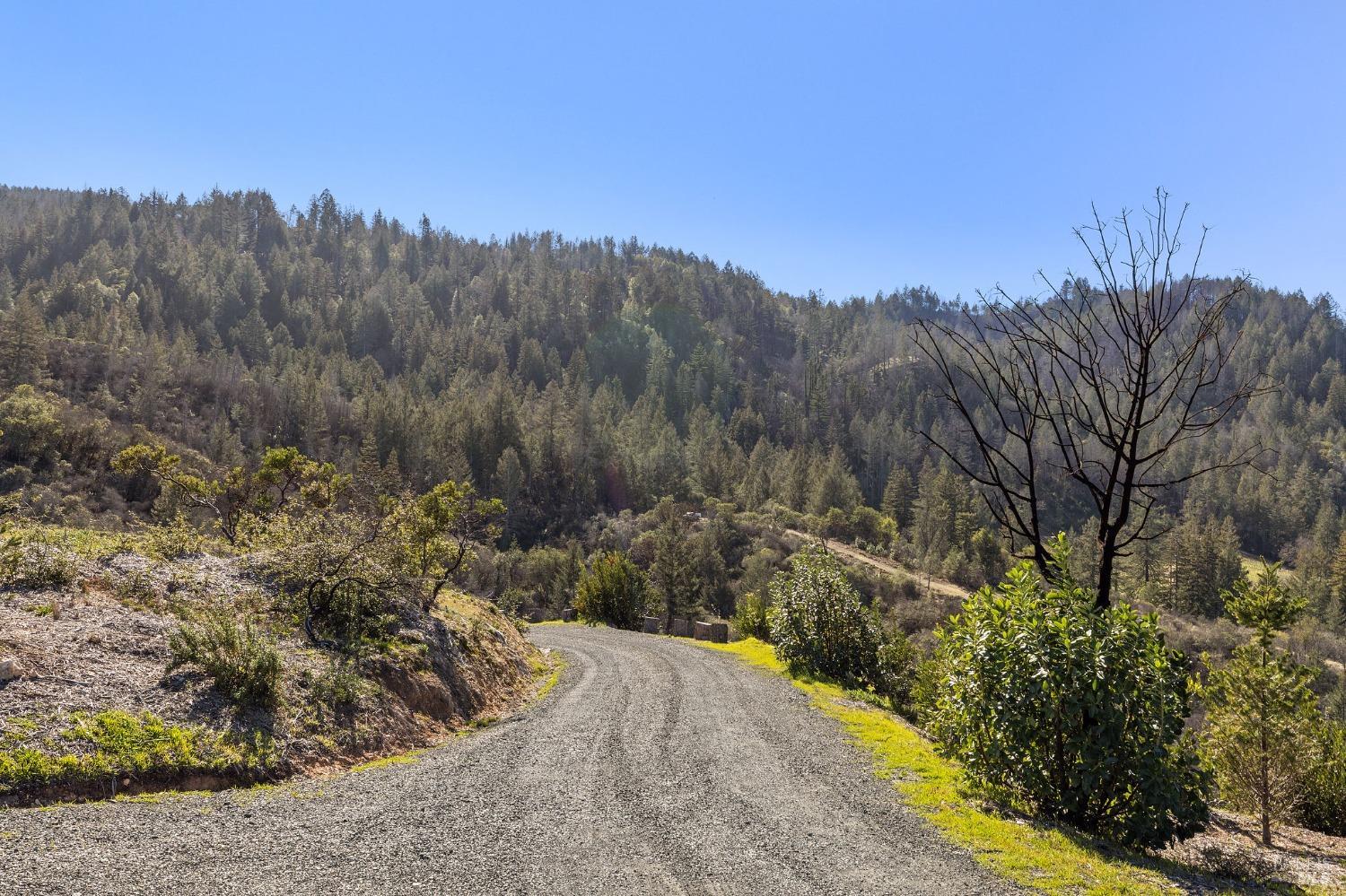 Detail Gallery Image 34 of 38 For 0 Diamond Mountain Rd, Calistoga,  CA 94515 - – Beds | – Baths